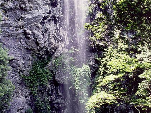 不動の滝の写真1