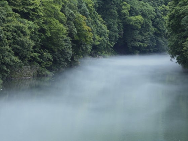 愛知川渓谷の写真1