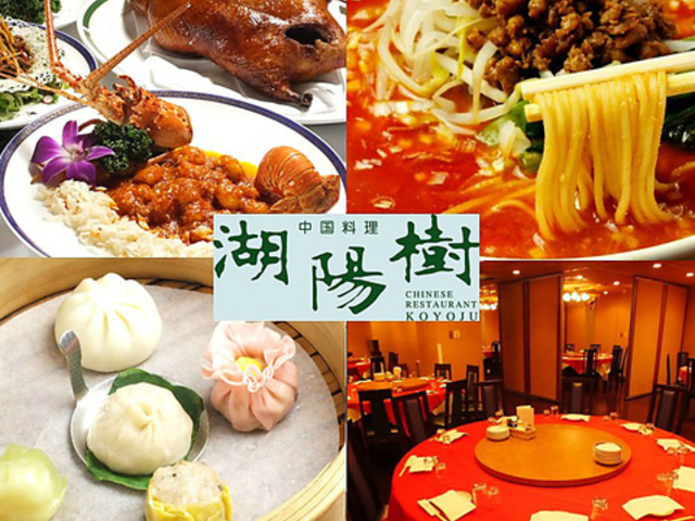 湖陽樹 こようじゅ 本町店の写真1