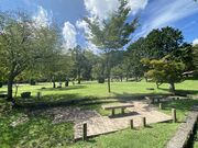 和良川公園オートキャンプ場の写真2