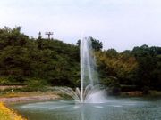 生活環境保全林みたけの森の写真2