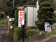 みかん狩り(下多賀)の写真2