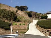 粟ケ岳の桜の写真1