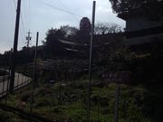 粟ケ岳の桜の写真3