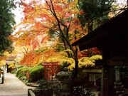 油山寺の紅葉の写真1