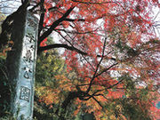 獅子ケ鼻公園の写真1