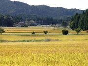 作手高原の写真1