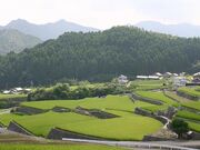 深野のだんだん田の写真2
