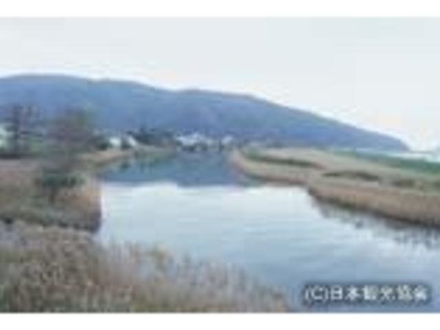 追波川の写真1