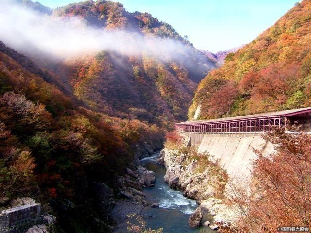 赤芝峡_赤芝峡