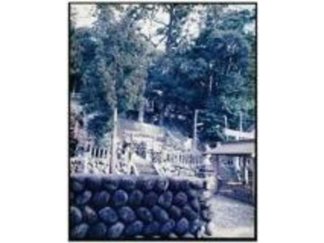高宮神社樹叢