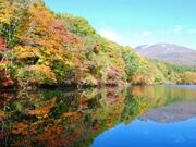 南蔵王の紅葉の写真1