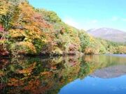南蔵王の紅葉の写真2