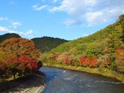 矢祭山の紅葉の写真1