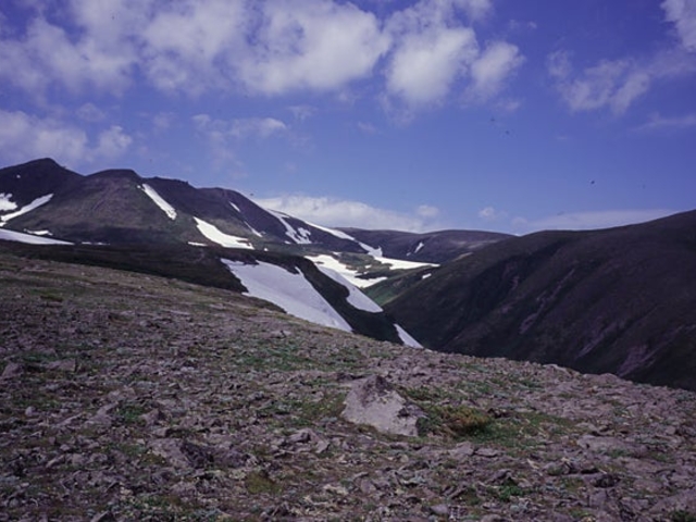 高根ヶ原の万年雪の写真1