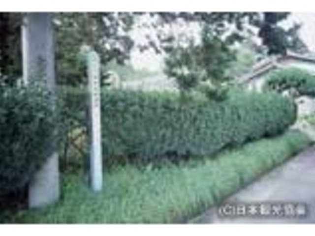 餅田貝塚_餅田貝塚