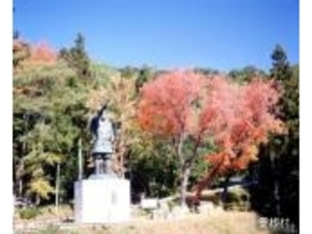 川宇連ハナノキ自生地の写真1