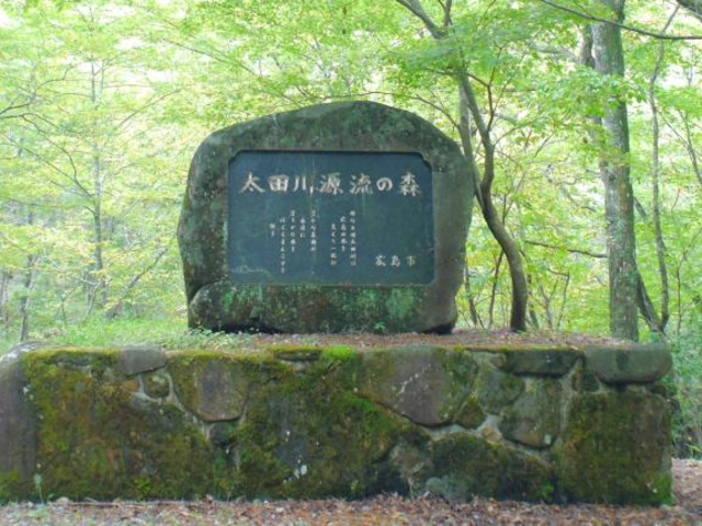 太田川源流の写真1