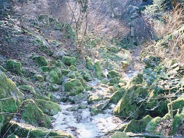 横倉山空池の写真1