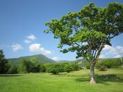 蔵王坊平アスリートヴィレッジ/ZAOたいらぐらの写真3