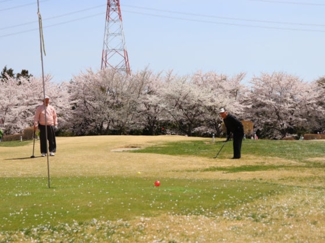 ふれあいの森公園パークゴルフ場_ふれあいの森公園パークゴルフ場