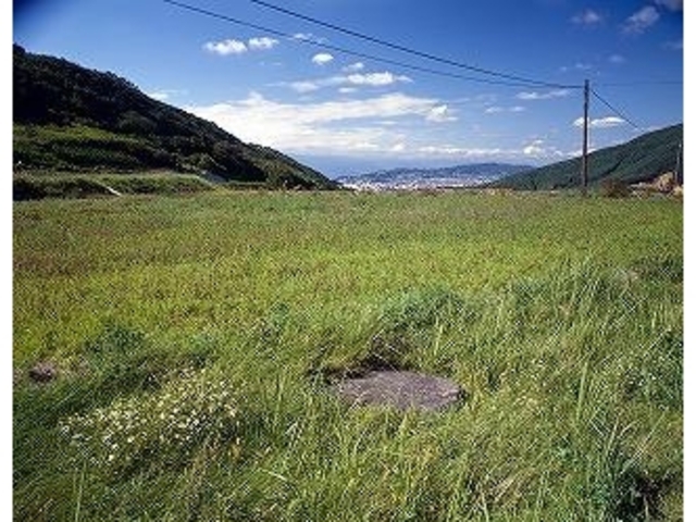 埴原牧跡の写真1