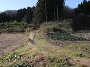 慶月院の墓の写真2