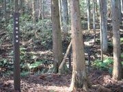 慶月院の墓の写真4