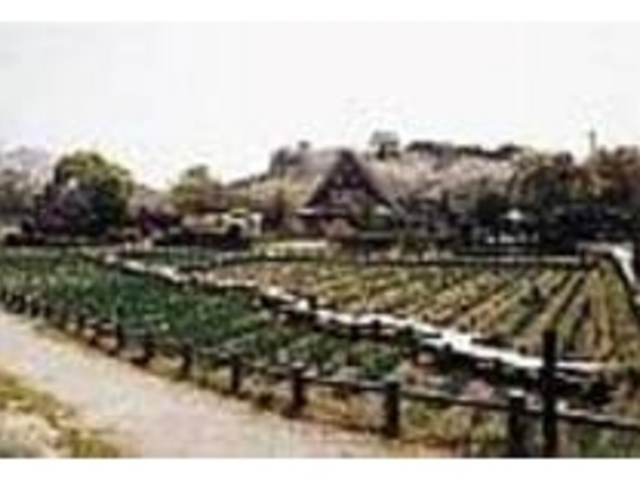 苑内には懐かしい農村の風情が漂っている_宮地嶽神社民家村自然広苑