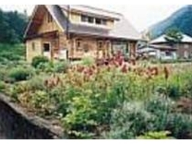 店の庭では各種ハーブを栽培している_レストラン あした天気