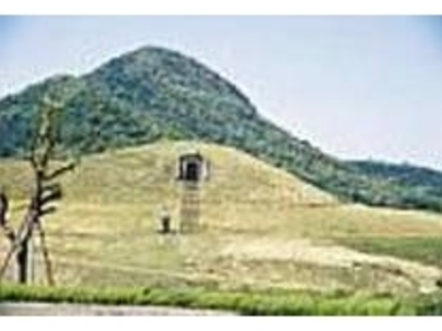 有岡古墳群の1つ、大きな王墓山古墳_宮が尾古墳公園