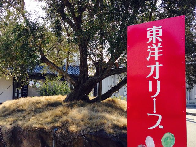 東洋オリーブ