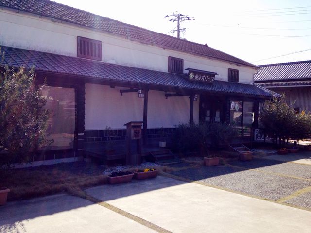 東洋オリーブ