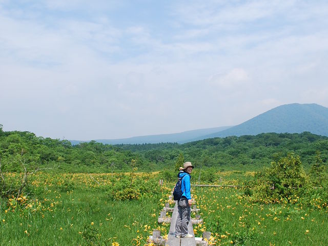 新緑の世界谷地湿原ガイドウォーク_くりこま高原自然学校