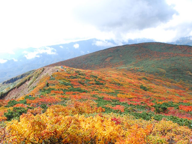 紅葉の栗駒山ガイド承ります_くりこま高原自然学校