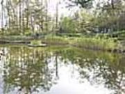 首洗池の写真2
