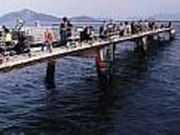 福岡市海づり公園の写真1