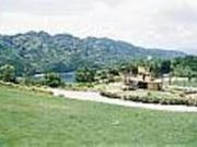 漁火の森公園キャンプ場の写真1