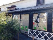 東洋オリーブの写真2