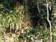 CAVE OKINAWAの写真1