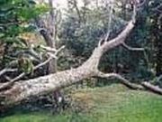 CAVE OKINAWAの写真2