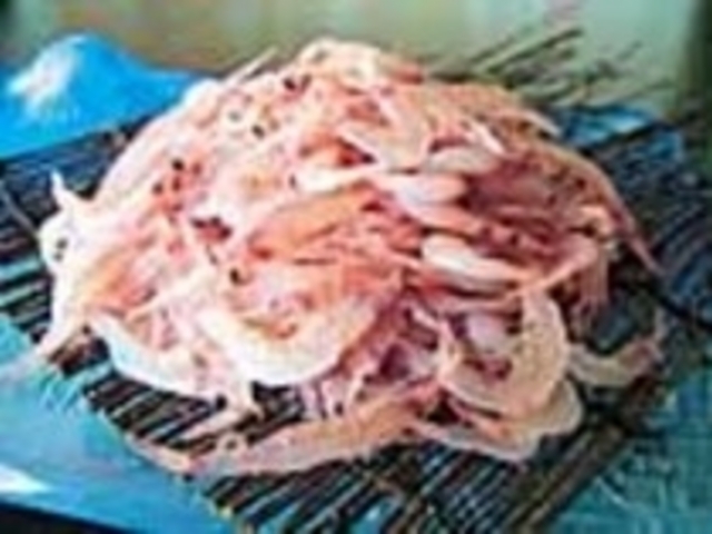 由比港でしか捕れない生桜えび_四季采館 開花亭