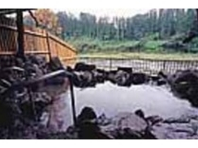 渓流を眺めながら入れる露天風呂(女湯)_おがせ天然湯 せんらく温泉