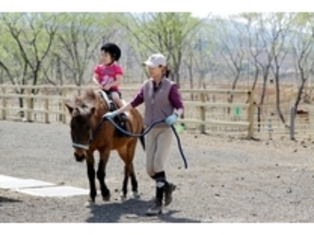 与那国馬ふれあい牧場