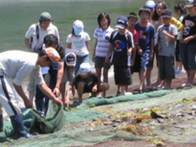 鮮度抜群の取れたての魚を目の前で炭火焼き_下浜地曳網組合