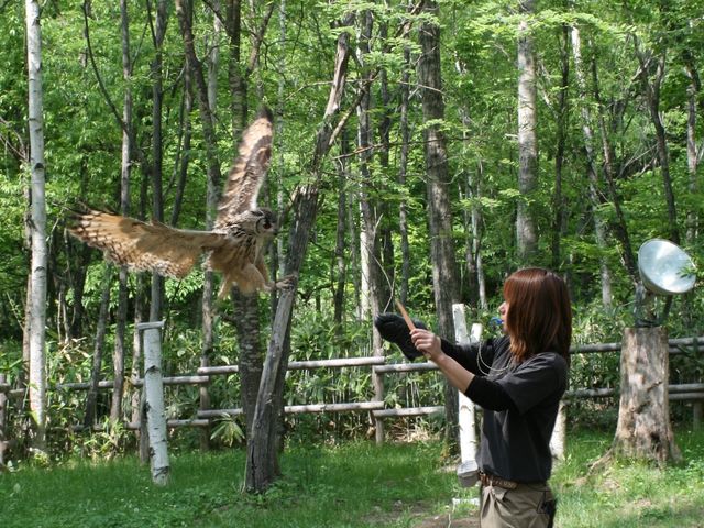 ノースサファリサッポロ
