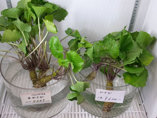 大黒屋