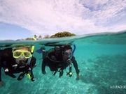 スノーケル・ダイビングスクール パラダイス倶楽部 富戸店の写真2