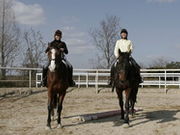 ホースファーム エルミオーレ神戸の写真1