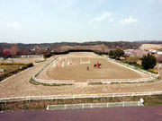 ホースファーム エルミオーレ神戸の写真2